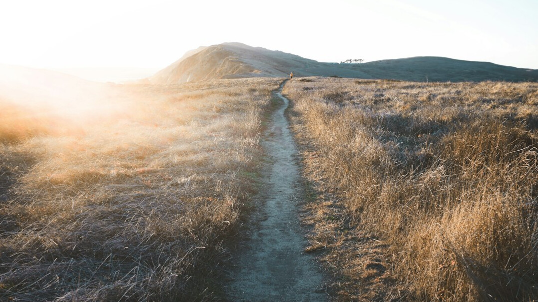 successful career path